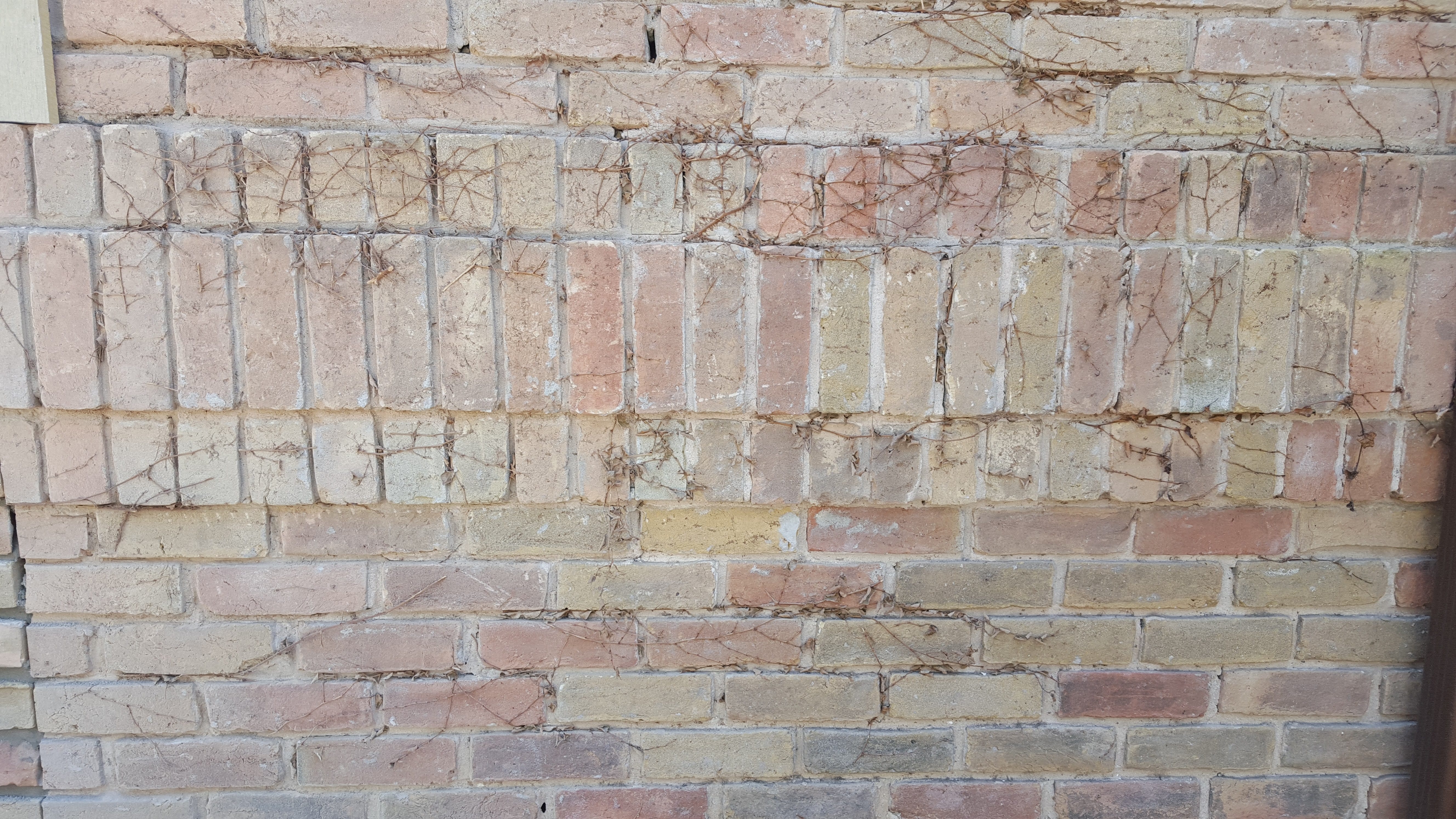 Brick Repair The Woodlands, TX Masonry Contractors & Brick Cleaner